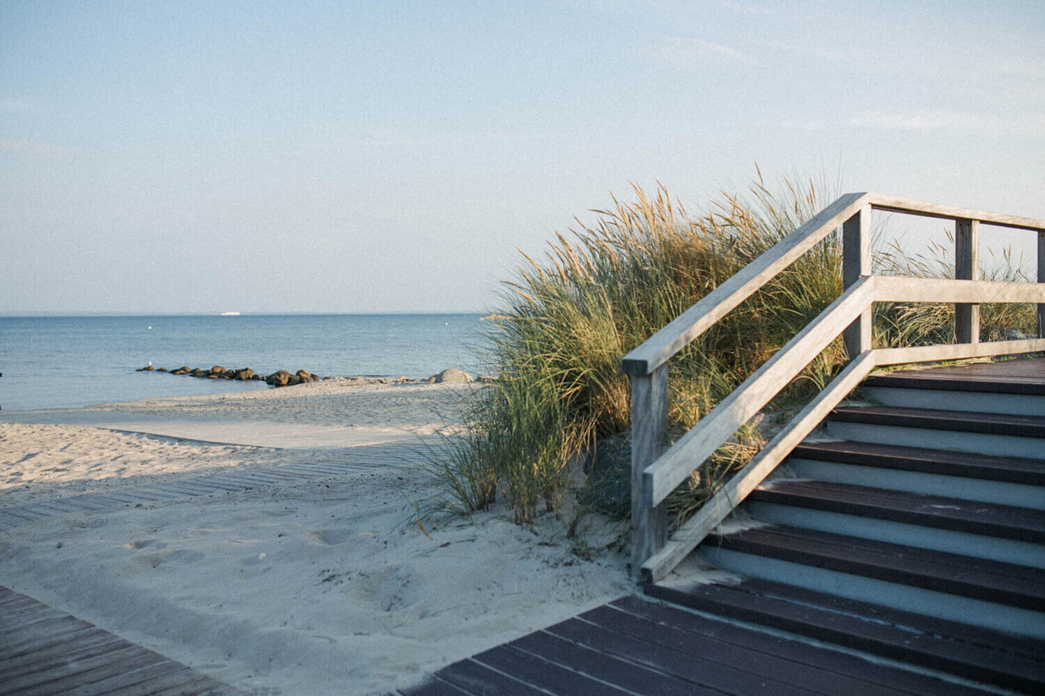 pexels-linda-brack-7014539